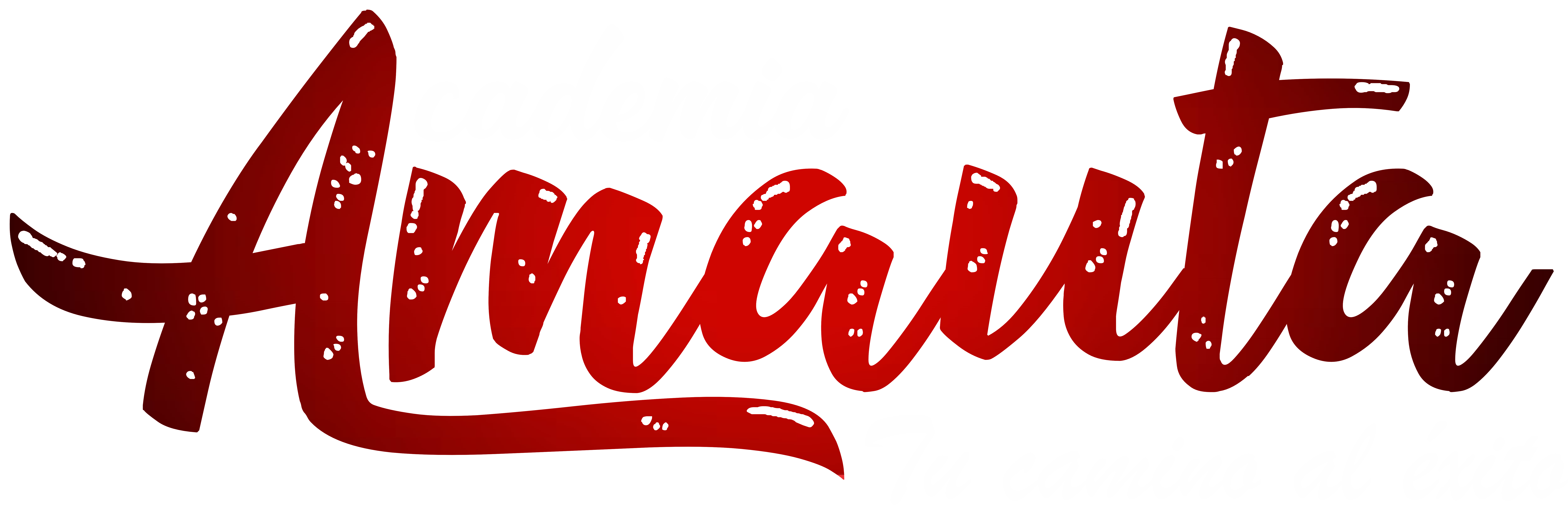 AMAUTA